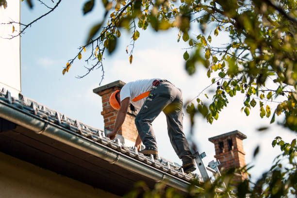 Fast & Reliable Emergency Roof Repairs in Hartsville, SC